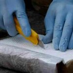 Costa Rica: Autoridades detienen a tres personas con 900 kilos de cocaína Costa Rica: Autoridades detienen a tres personas con 900 kilos de cocaína