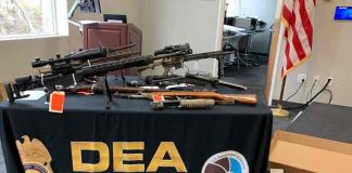 estados unidos, narcotrafico, red, delincuencia,