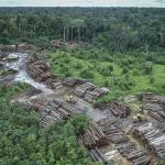 brasil, deforestacion, amazonia brasileña, medio ambiente,