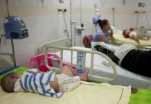 Colombia pide no bajar la guardia contra el mosquito del dengue Colombia pide no bajar la guardia contra el mosquito del dengue