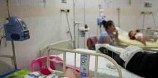 Colombia pide no bajar la guardia contra el mosquito del dengue