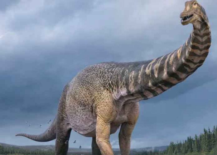 dinosaurio, españa, autobús, gigantesco,