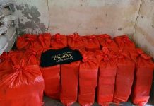 Incautan 16 fardos de cocaína en Colón, Honduras honduras, colon, incautacion, cocaina, fardos, autoridades,