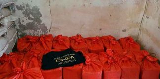 honduras, colon, incautacion, cocaina, fardos, autoridades,