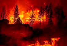Más de 400 personas fueron evacuadas por los incendios en California Estados unidos, california, incendio, personas evacuadas,