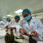 Emprendedores de Chinandega reciben curso de Agroindustria