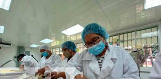 Emprendedores de Chinandega reciben curso de Agroindustria
