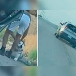 ¡Sin corazón! Perrito es abandonado por su dueño en una carretera de Texas ¡Sin corazón! Perrito es abandonada por su dueño en una carretera de Texas