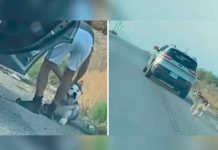 ¡Sin corazón! Perrito es abandonado por su dueño en una carretera de Texas ¡Sin corazón! Perrito es abandonada por su dueño en una carretera de Texas
