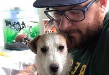 Mitch Byers se hace viral por viajar en compañía de su perra disecada fotos, viral, estados unidos, perra disecada, mitch byers, insolito,