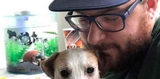 fotos, viral, estados unidos, perra disecada, mitch byers, insolito,