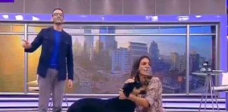 chile, set de television, perrito,