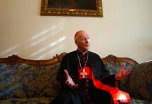 Acusan de abuso sexual a excardenal estadounidense Theodore McCarrick Acusan de abuso sexual a excardenal estadounidense Theodore McCarrick