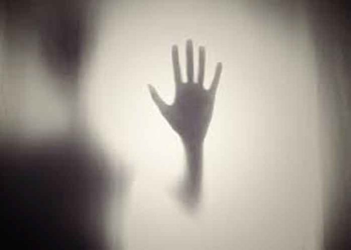 ¡Qué miedo! Captan a 