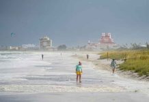 Elsa se debilita y toca tierra en el noroeste de Florida estados unidos, florida, elsa, tormenta, toca, tierra,