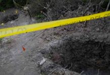 México: Hallan 174 fosas clandestinas en el primer semestre de 2021 mexico, fosas, homicidios,