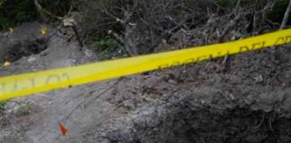 mexico, fosas, homicidios,