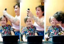 brasil, video, viral, leucemia, francisco, camila,