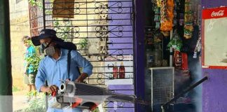 Labores de fumigación en barrios de Managua