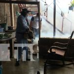 Fumigan el barrio Alemania Democrática para eliminar el zancudo Fumigación para eliminar el zancudo en Managua