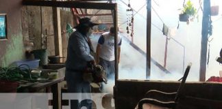 Fumigación para eliminar el zancudo en Managua