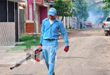Más de 400 viviendas fumigadas y abatizadas en la Colonia 15 de Mayo Minsa fumiga y abatiza mas de 300 casas en el distrito VI de Managua