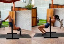 tendencias, gato, video, ejercicio,