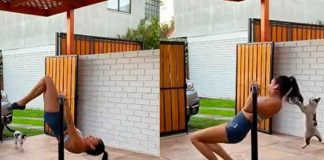 tendencias, gato, video, ejercicio,