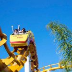 De terror: Enorme gaviota se estrella con una joven en una montaña rusa / FOTO / Pixabay