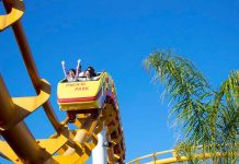 De terror: Enorme gaviota se estrella con una joven en una montaña rusa De terror: Enorme gaviota se estrella con una joven en una montaña rusa / FOTO / Pixabay