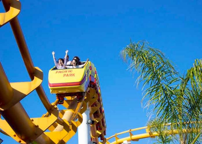 gaviota,-montana-rusa, De terror: Enorme gaviota se estrella con una joven en una montaña rusa / FOTO / Pixabay