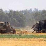 Fuerzas israelíes arrasan tierras de cultivo en Gaza Israel , tierras agricolas, gaza, vehículos militares,