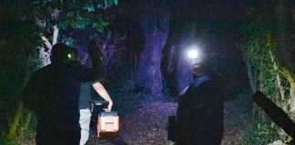 el salvador, usulutan, asesinato, hermanos, santa lucia, investigaciones,