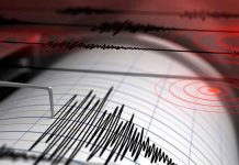 Foto:Taiwán registra 28 terremotos en cinco horas, uno de ellos de 5.2 grados/Cortesía