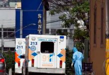 Autoridades hondureñas vigilan otro caso sospechoso de hongo negro Foto: Autoridades hondureñas vigilan otro caso sospechoso de hongo negro /Cortesía