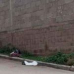 ¡Inhumano! Entre bolsas de basura encuentran un feto en La Rosa, Tegucigalpa Foto: ¡Inhumano! Entre bolsas de basura encuentran feto en La Rosa, Tegucigalpa/Cortesía