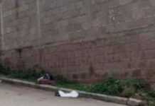 ¡Inhumano! Entre bolsas de basura encuentran un feto en La Rosa, Tegucigalpa Foto: ¡Inhumano! Entre bolsas de basura encuentran feto en La Rosa, Tegucigalpa/Cortesía