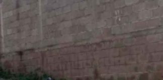 Foto: ¡Inhumano! Entre bolsas de basura encuentran feto en La Rosa, Tegucigalpa/Cortesía