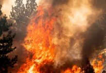 Ola de incendios azota el oeste de Estados Unidos estados unidos, ola, incendios, azote, oeste, redes sociales, bomberos,