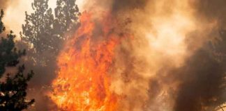 estados unidos, ola, incendios, azote, oeste, redes sociales, bomberos,