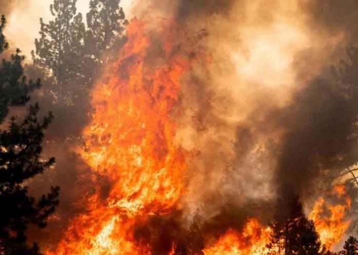 estados unidos, ola, incendios, azote, oeste, redes sociales, bomberos,