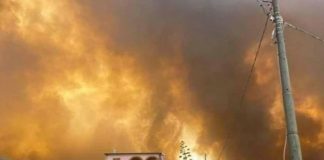 Foto: Evacúan a más de 1500 personas por incendio en Cerdeña, Italia / AA
