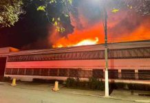 Incendio en Cinemateca Brasileira quema documentos históricos y películas Incendio en Cinemateca Brasileira quema documentos históricos y películas