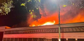 Incendio en Cinemateca Brasileira quema documentos históricos y películas