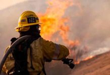 Incendios forestales arden en 10 estados del oeste de EE.UU Incendios forestales arden en 10 estados del oeste de EE.UU