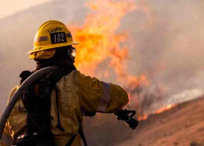 Incendios forestales arden en 10 estados del oeste de EE.UU