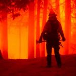 Estados Unidos reporta más de 80 incendios forestales activos