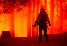 Estados Unidos reporta más de 80 incendios forestales activos Estados Unidos reporta más de 80 incendios forestales activos