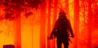 Estados Unidos reporta más de 80 incendios forestales activos