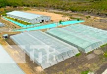 Toma aérea de uno de las empresas exitosas con inversión extranjera